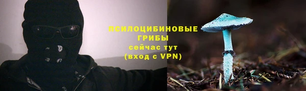 гидра Алзамай