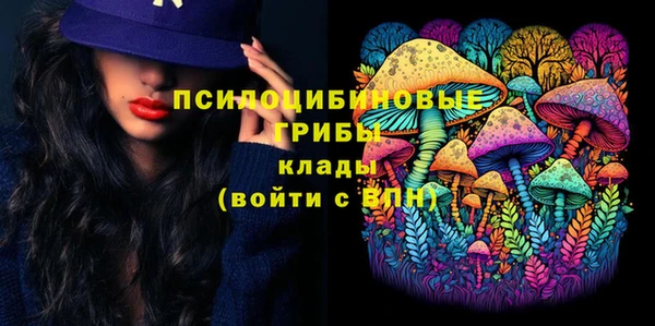 PSILOCYBIN Алексеевка