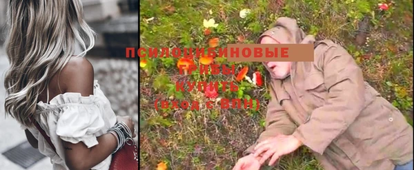 PSILOCYBIN Алексеевка
