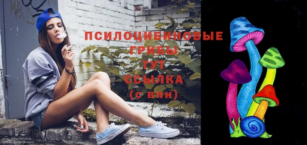 гидра Алзамай