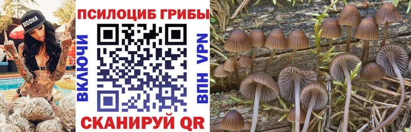 где купить наркоту Удачный Псилоцибиновые грибы MAGIC MUSHROOMS